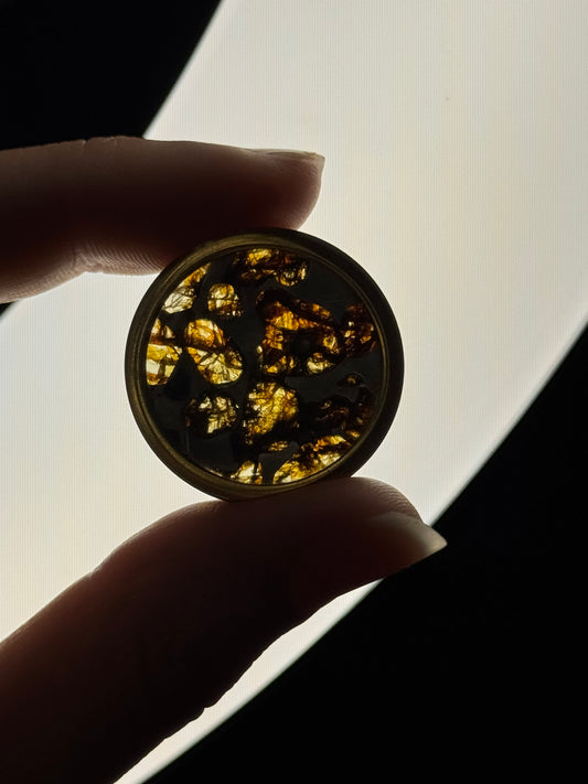 Pallasite