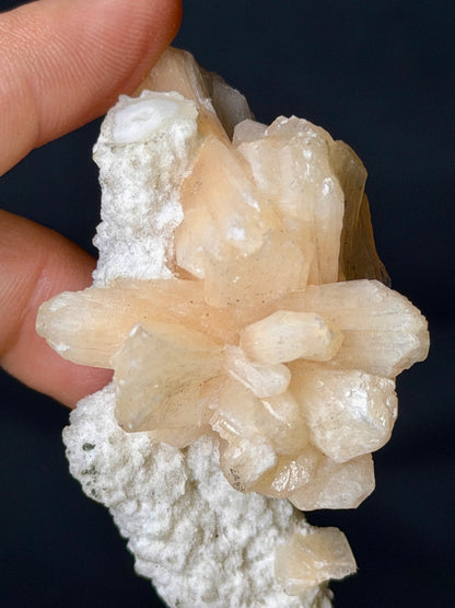 Stilbite pesca su mordenite