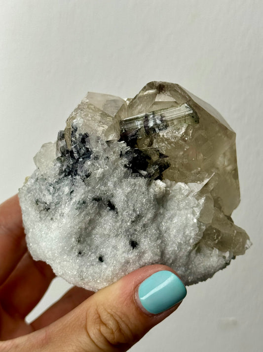 Tormalina bicolore su quarzo - Brasile