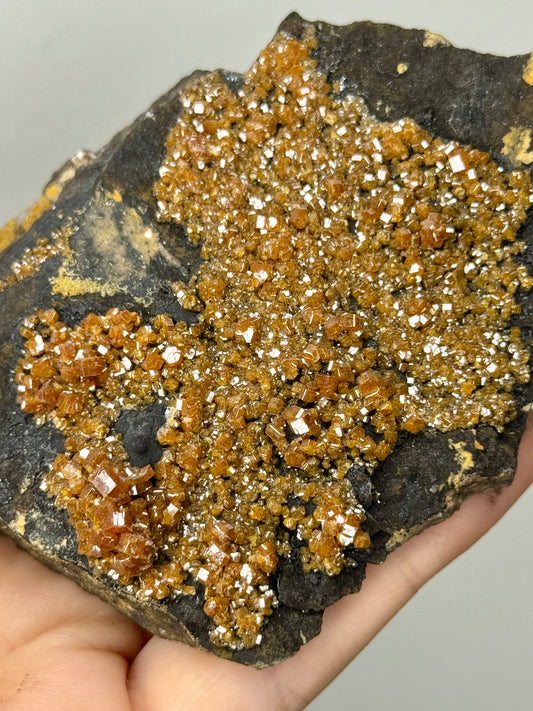Vanadinite su barite nera (ematite nera) - Marocco