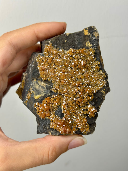 Vanadinite su barite nera (ematite nera) - Marocco