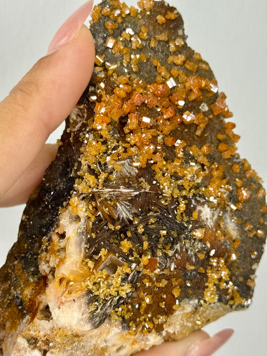 Vanadinite su barite nera - Marocco