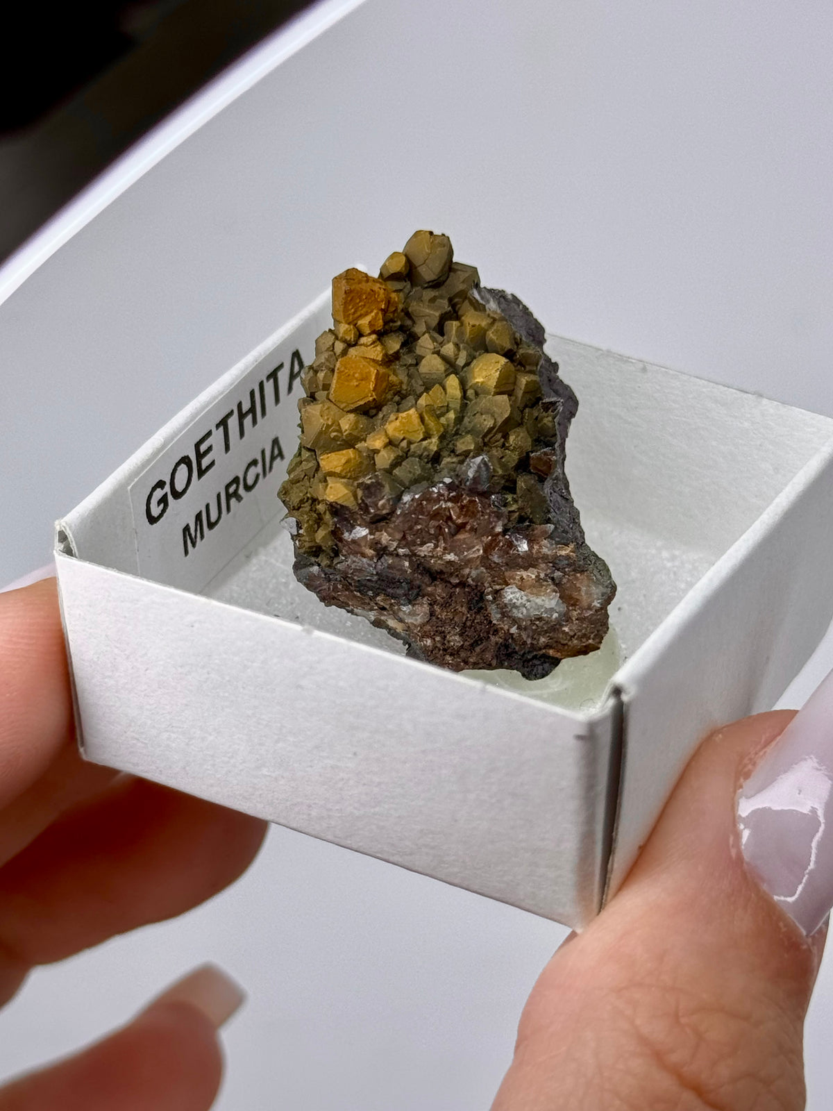 Goethite Iridescente - Murcia, Spagna