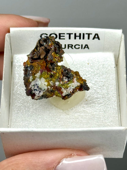 Goethite iridescente - Spagna