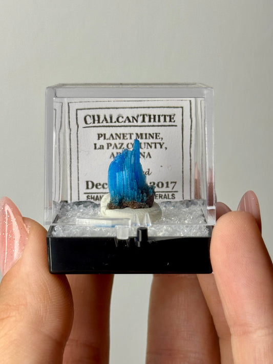 Chalcanthite - Arizona