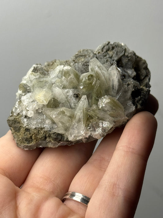 Calcite denti di cane - India