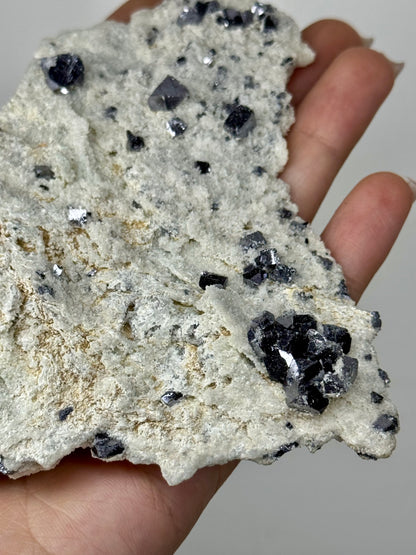 Galena su Matrice di Calcite - Bulgaria