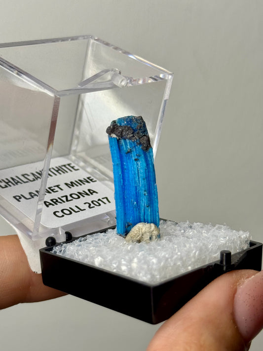 Chalcanthite - Arizona