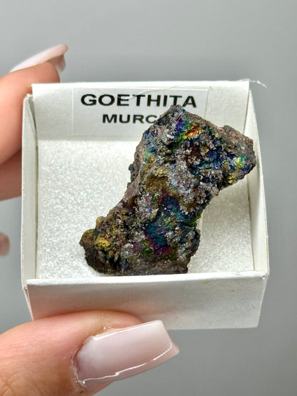 Goethite iridescente - Spagna