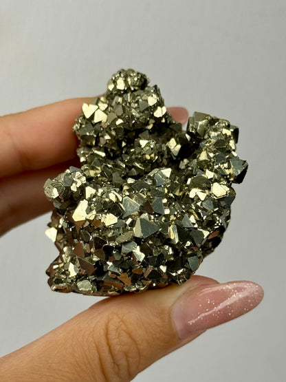 Pirite octraetica