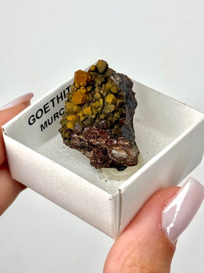 Goethite Iridescente - Murcia, Spagna