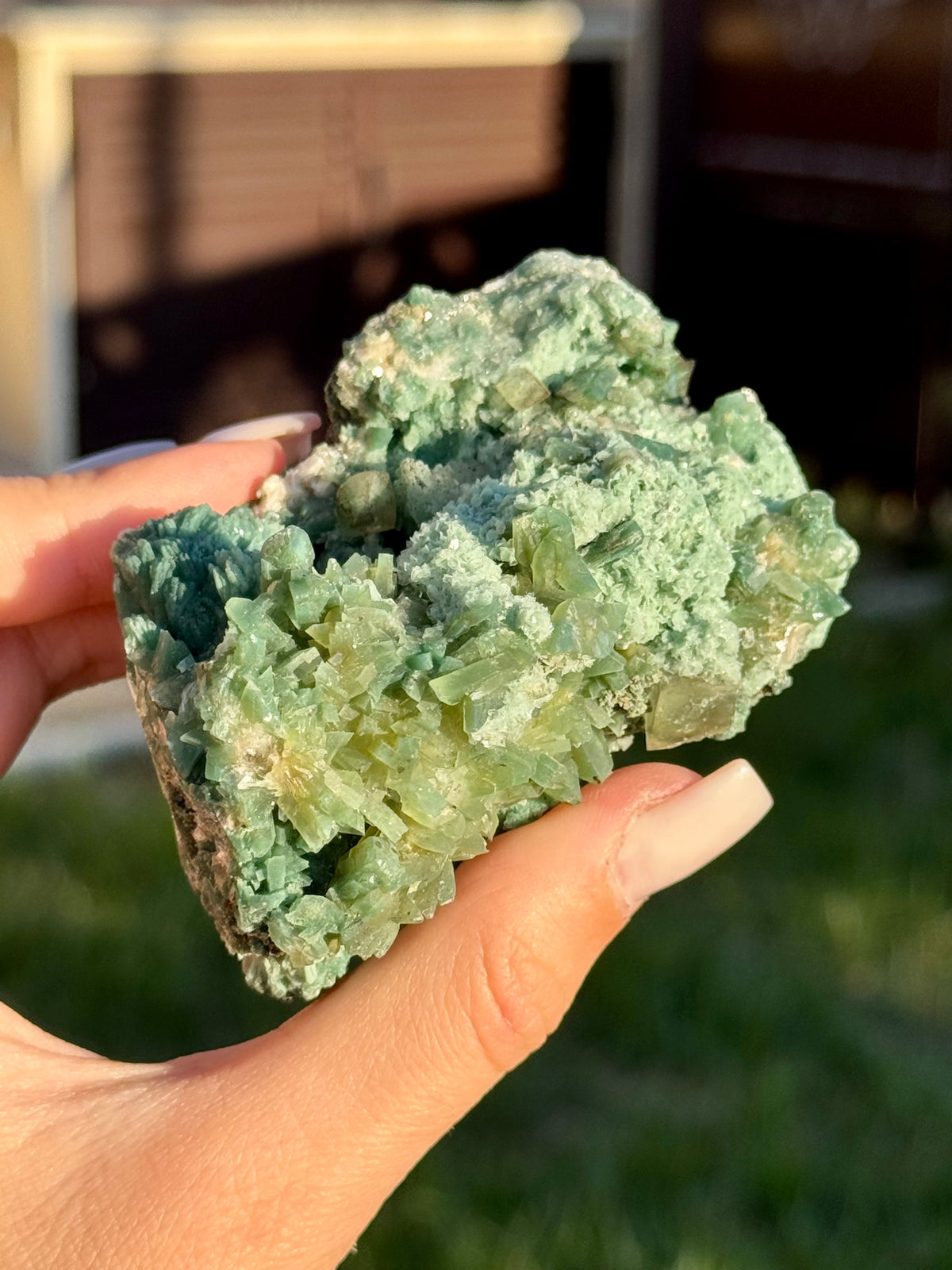 Claim171