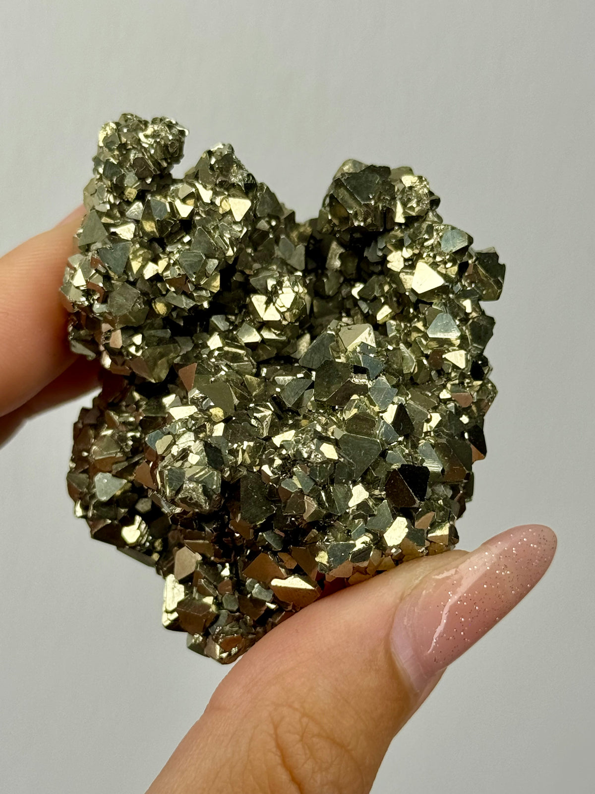 Pirite octraetica