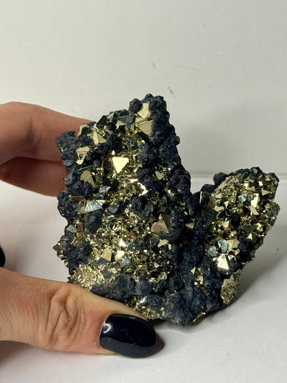Pirite Octaedrica con Sfalerite Nera