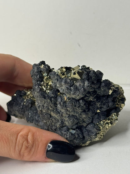 Pirite Octaedrica con Sfalerite Nera