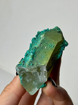 Crisocolla su Quarzo