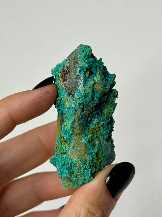 Crisocolla su Quarzo