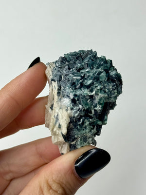 Tormalina Blu e Verde su Mica