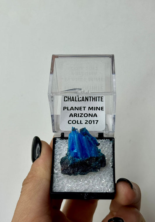 Chalcanthite